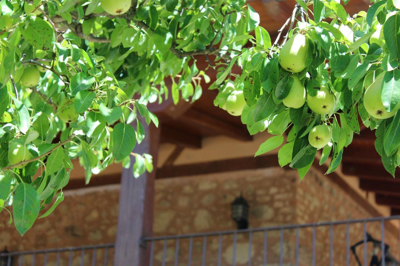 Complejo Rural La Coronilla ξενώνας Jarandilla de la Vera Εξωτερικό φωτογραφία
