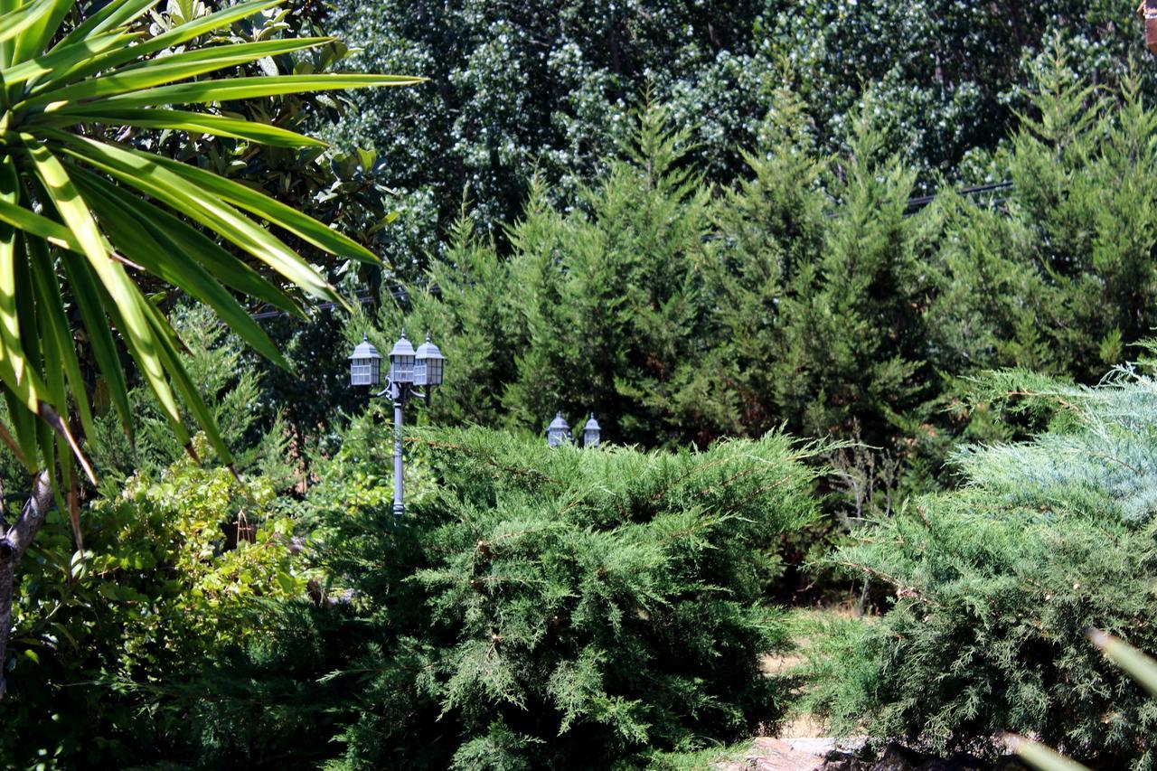 Complejo Rural La Coronilla ξενώνας Jarandilla de la Vera Εξωτερικό φωτογραφία